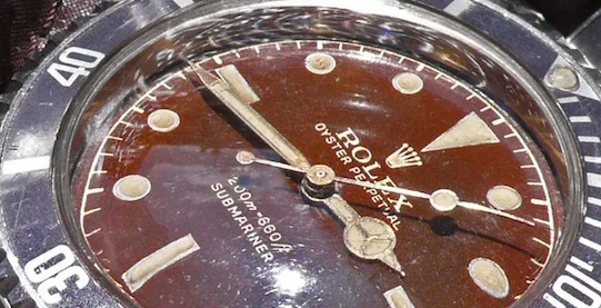 Hawk's Beak Watches | storia 5512